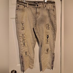 Bisu Bisu gray denim shorts size 10.